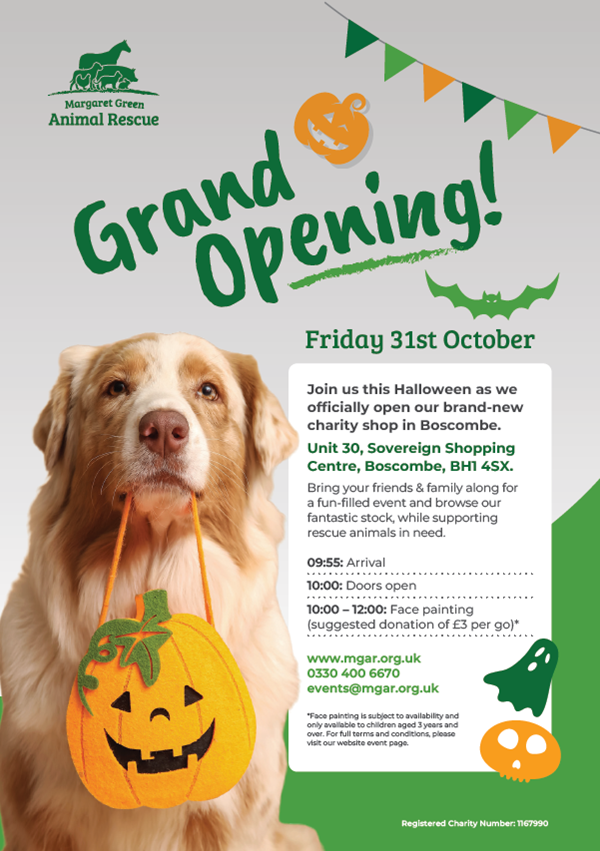 Boscombe Shop Opening